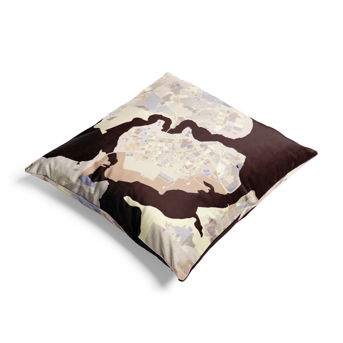 Throw pillow - Degas